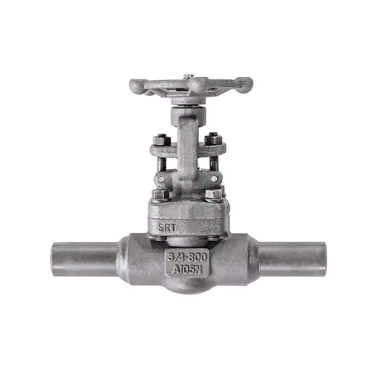 Come l’è che l’è stà el turismo de la gesa de la Gesa di Stat Ünì per la Germ...